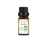 Natural Plant Essential Oil